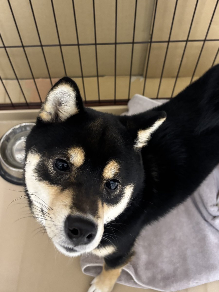 おはようございます。
月曜日始まりますよ〜