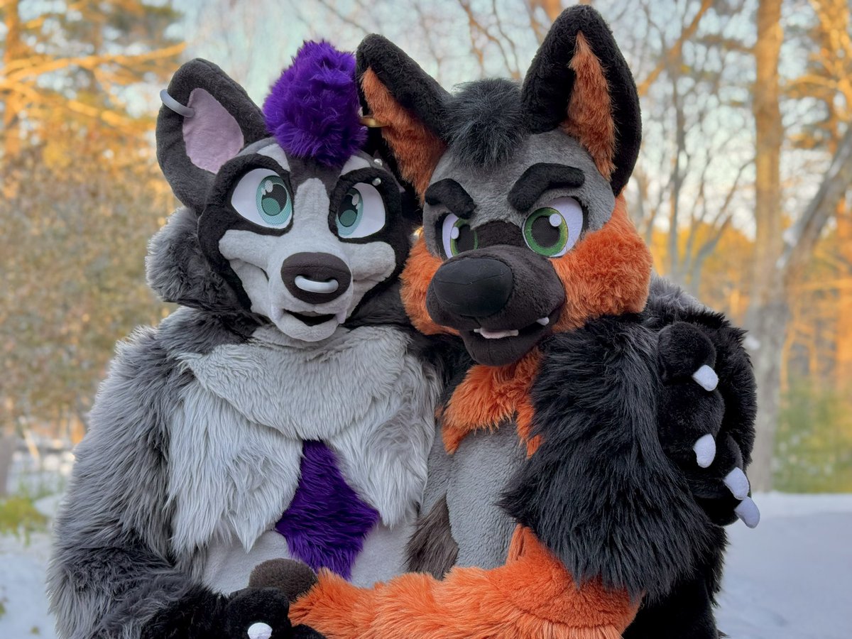 PupBuster2's tweet photo. Want to come cuddles with us? 
#bluntster #gaynhfurries #felixtheracoon @Pupbuster1 https://t.co/fDUGwzMaXk