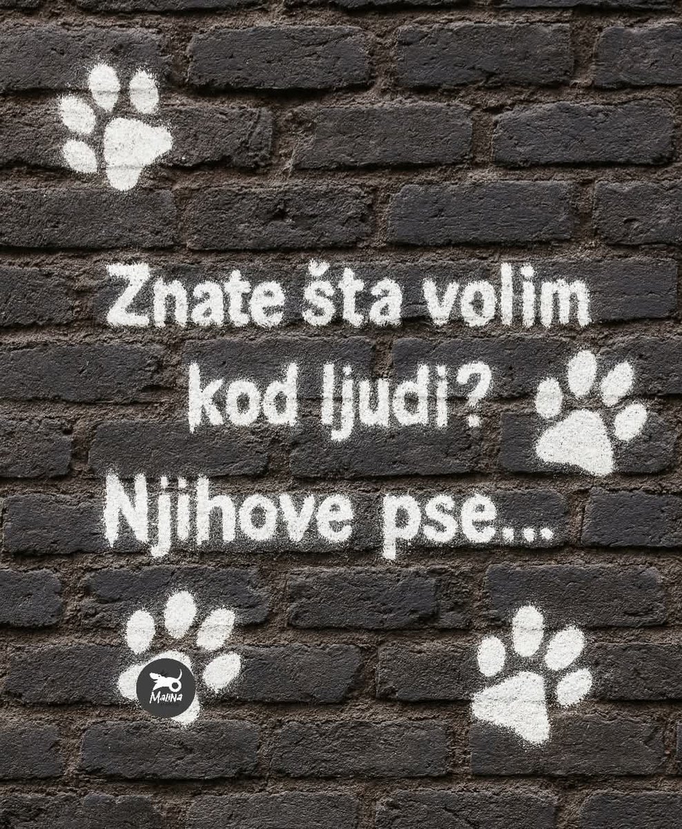 bubamara1512's tweet image. Искључиво!