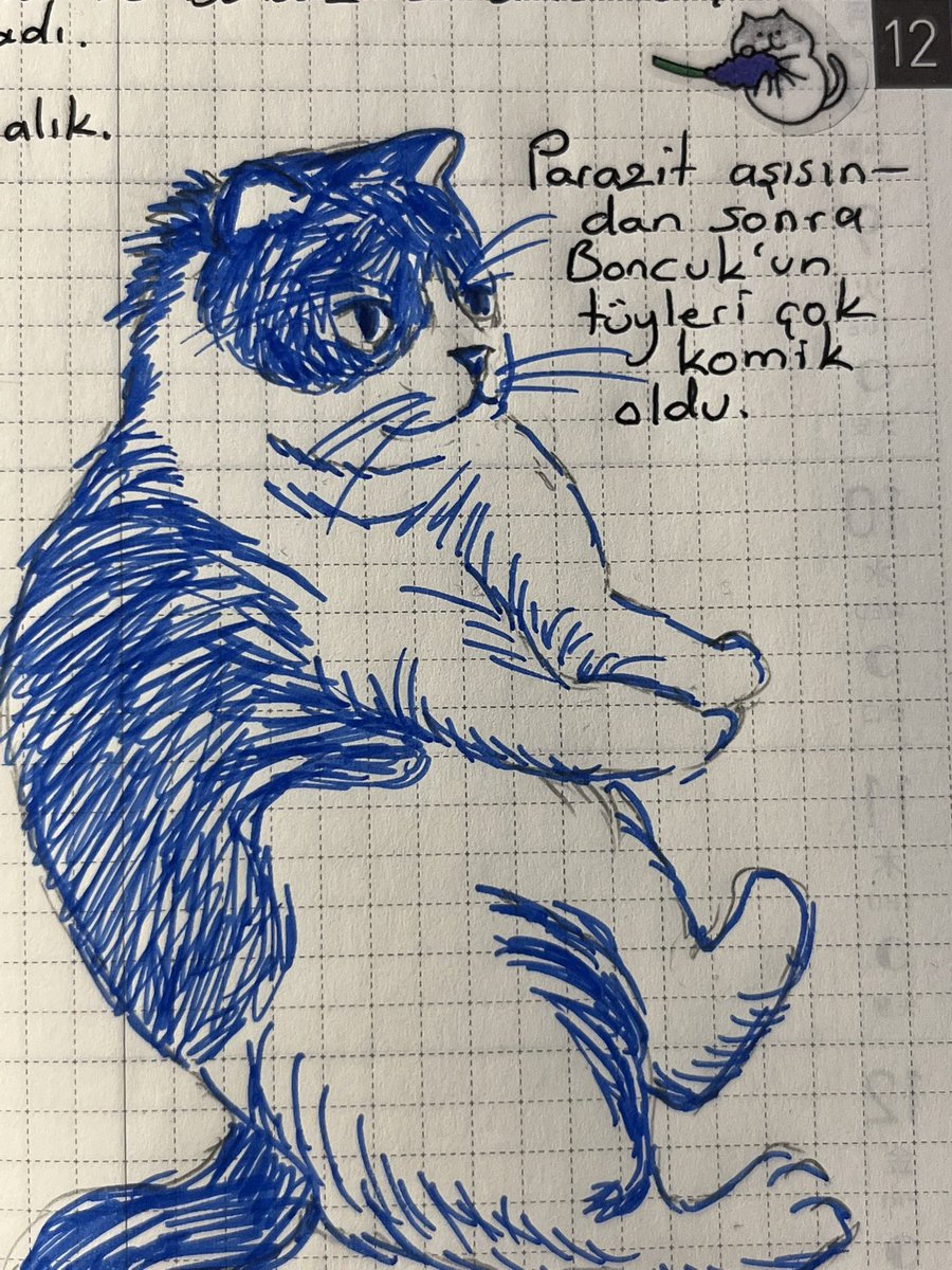 Daily Boncuk tweet media