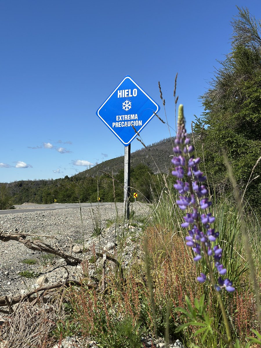 Встав сегодня очень рано, я успел увидеть невероятное количество красивейших мест, озер, горных перевалов и погулять там 
Восхитительное место Патагония скажу я вам