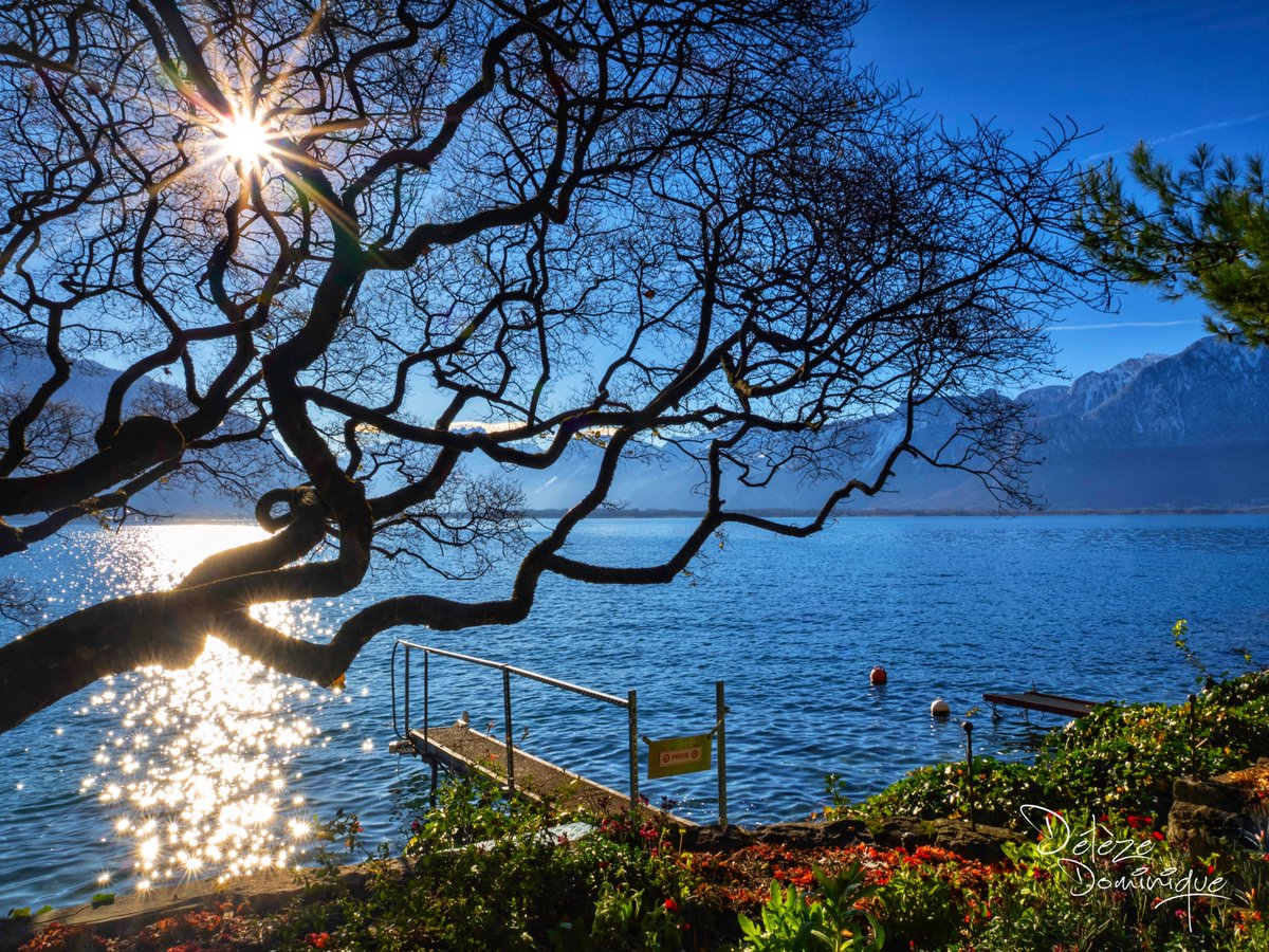 Magnifique spectacle dans ce bel endroit, Montreux ☀️💙🇨🇭

#suisse #switzerland #vaud #leman <a href="/MySwitzerland_e/">Switzerland</a>