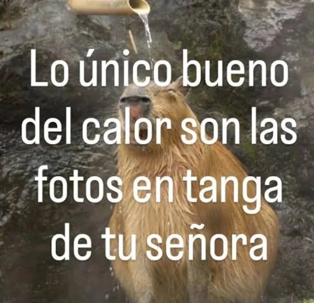 Ulises (@ulisesdavid__) on Twitter photo 