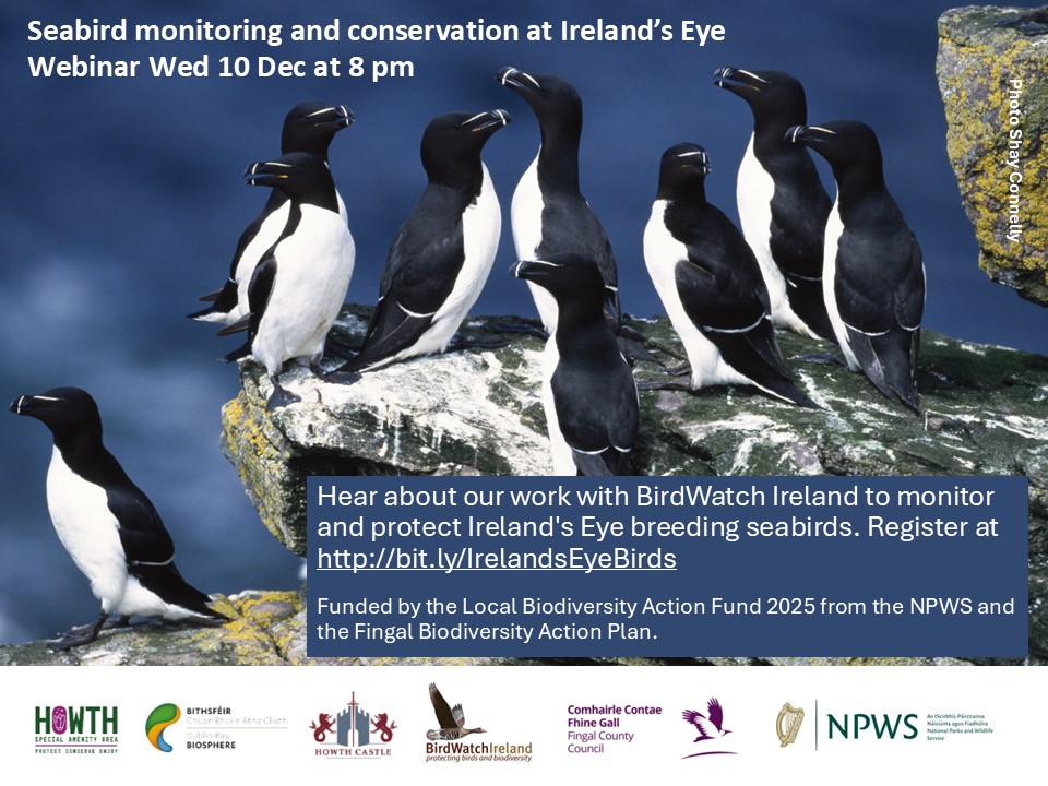 Fingal County Council tweet media