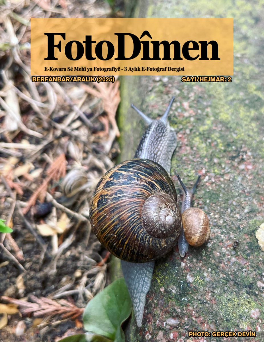 ARAM ☭ 🎬 📷 tweet media