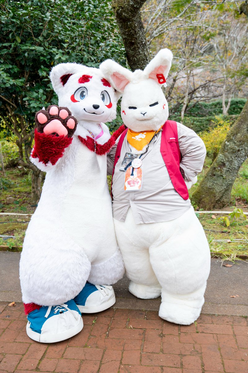 しろもふおなかだね～～～～～～