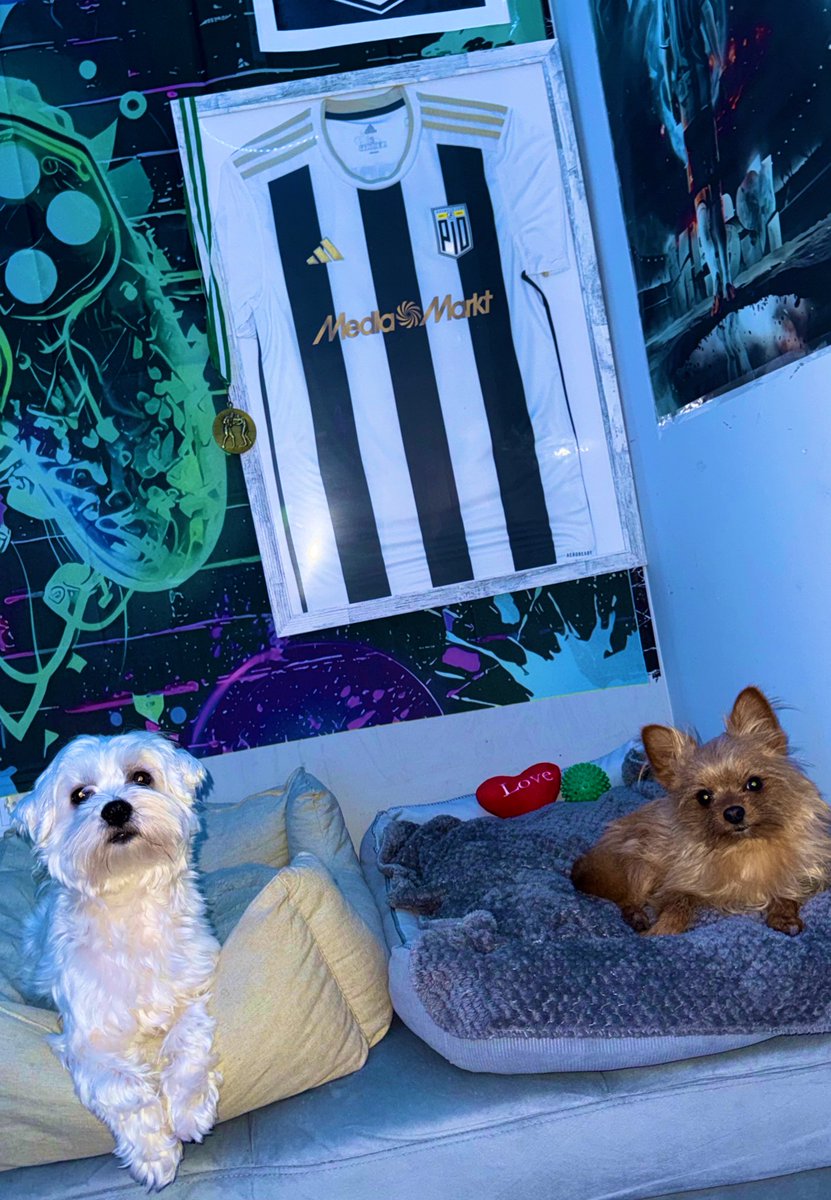 Que bien queda mi set up con los pollitos pequeños d portada🤣🐣❤️