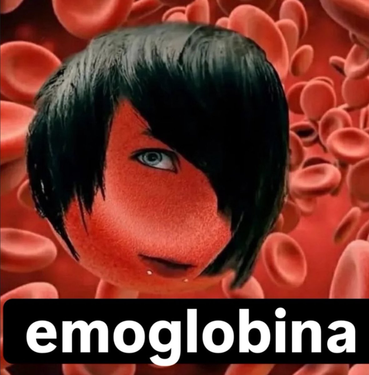 Shitpost só que de verdade (@shitpostverdade) on Twitter photo 