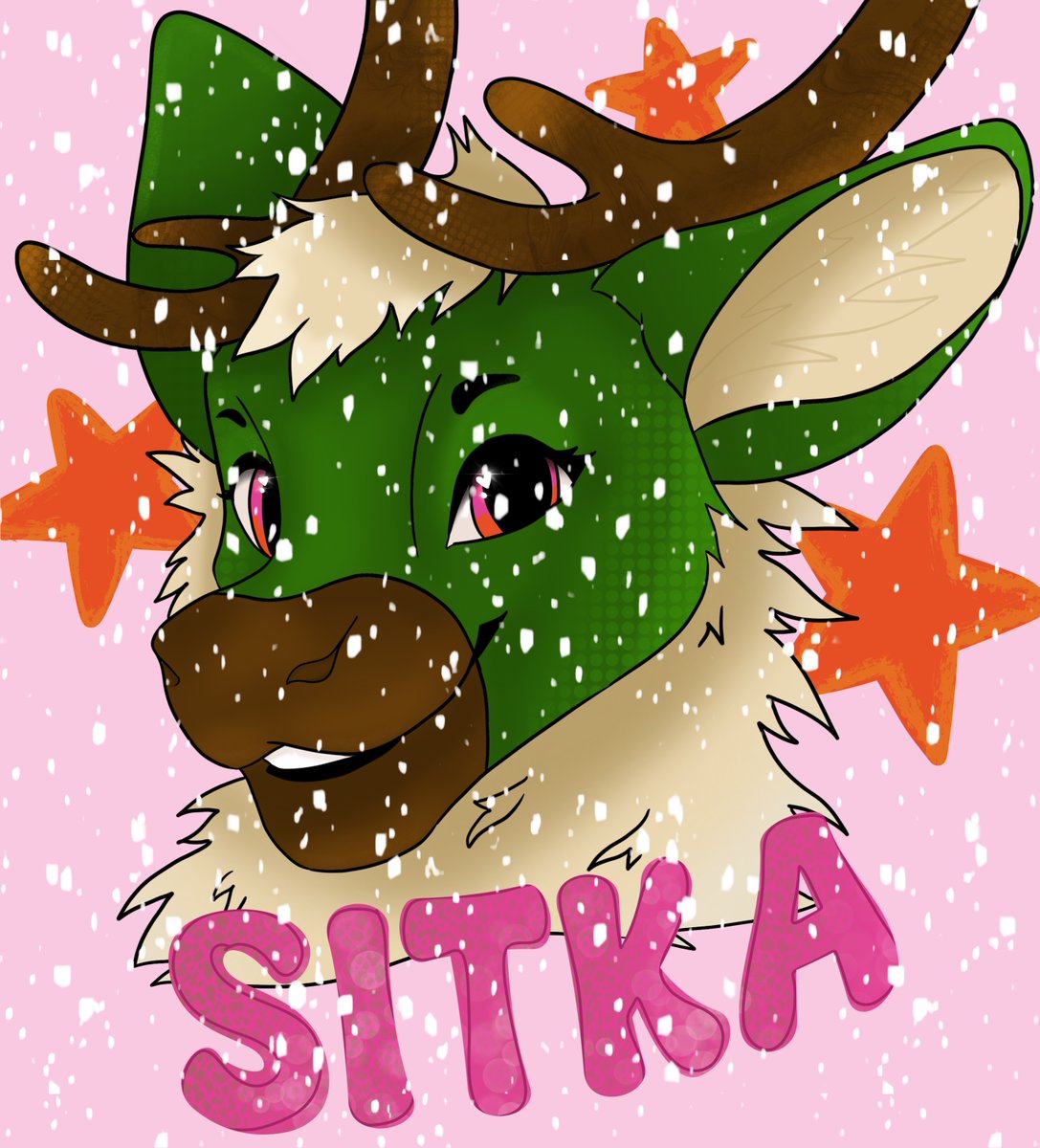 SitkatheBou's tweet photo. Snowy Bou ❄️ https://t.co/bwelQZreBr