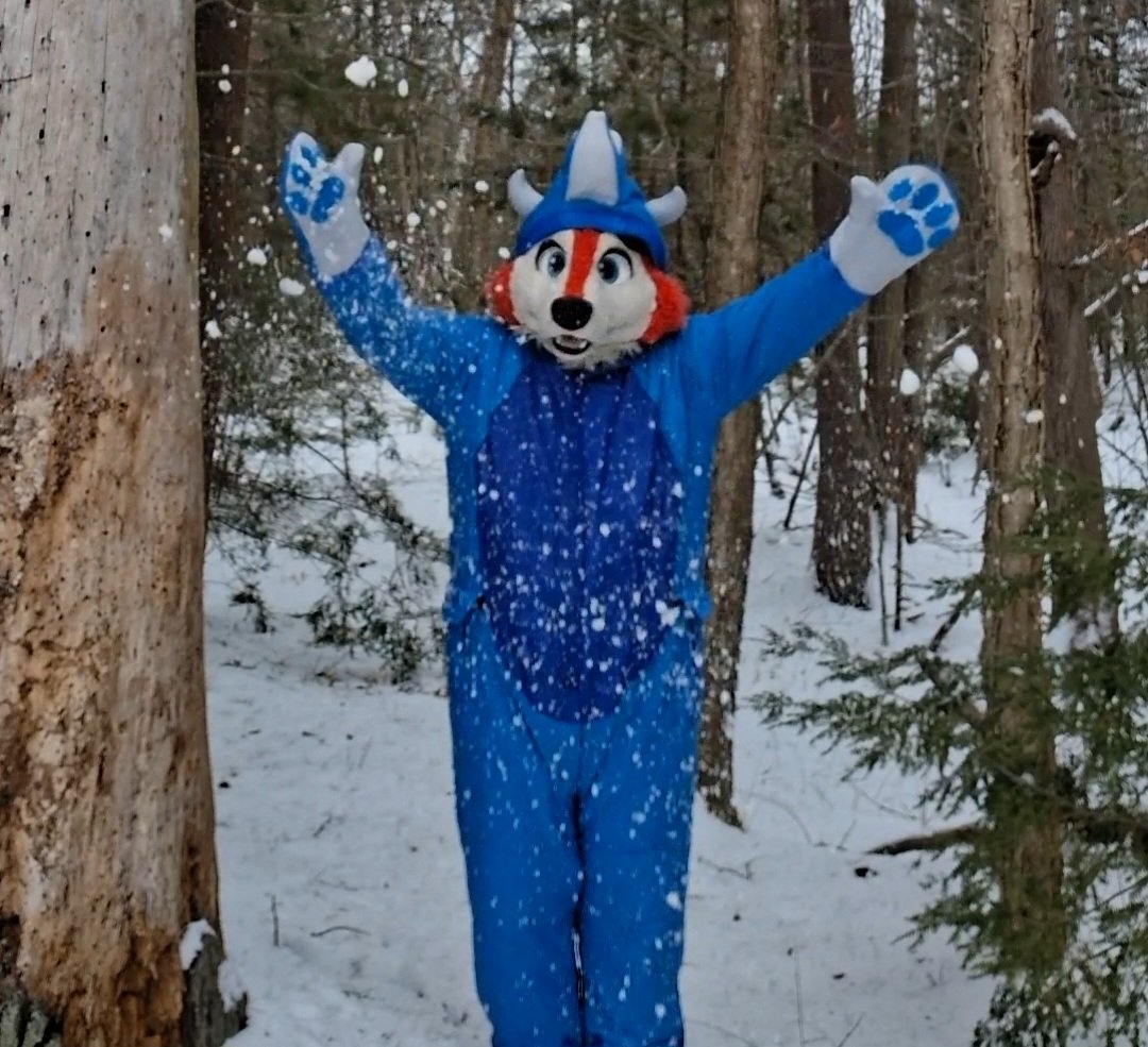 LittleRedAB's tweet image. Went for a walk in the woods today and decided to finally take some photos on my dino snowsuit. Sorry about the potato quality it's very hard to take photos by myself 😅