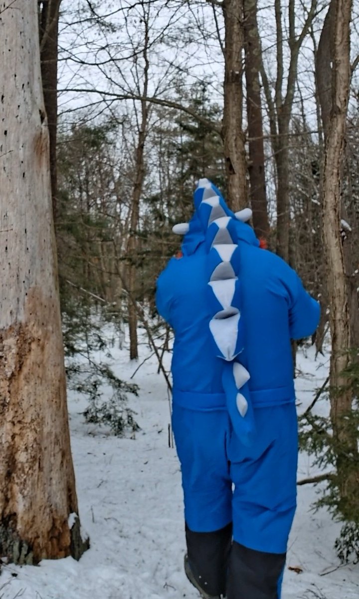 LittleRedAB's tweet image. Went for a walk in the woods today and decided to finally take some photos on my dino snowsuit. Sorry about the potato quality it's very hard to take photos by myself 😅