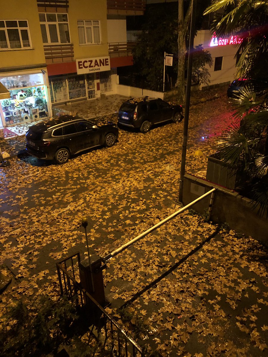 Geciken yaprak dökümleri