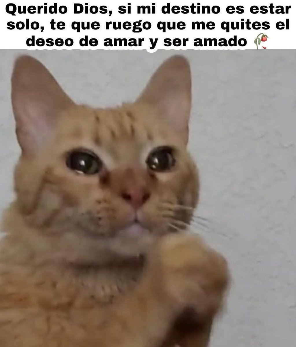 Mapaxitouwu's tweet image. 