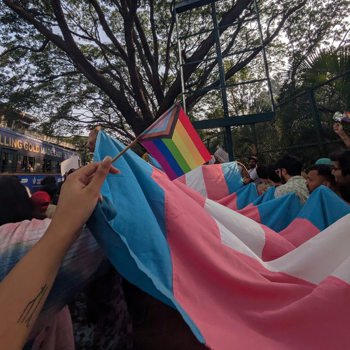 ankia ☆ tweet media