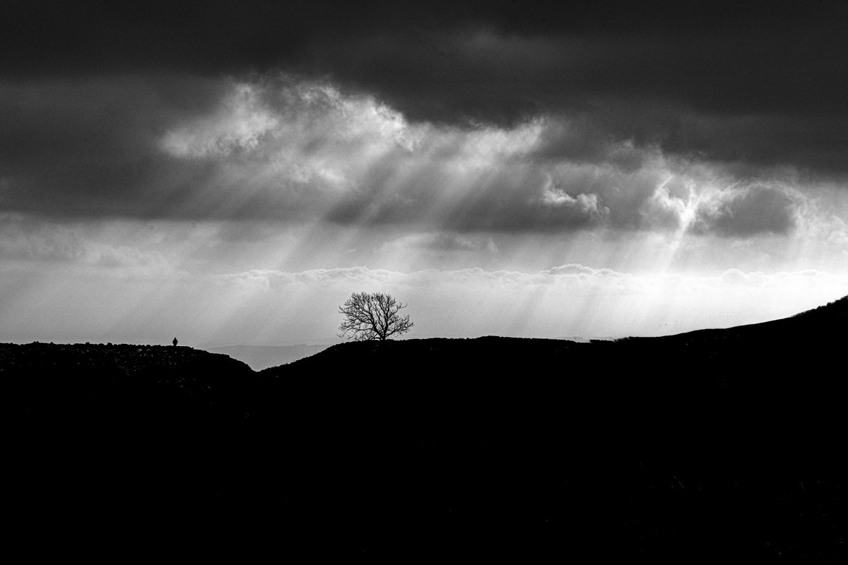 A lone walker takes in the Dales from the hilltop, with the skyline dominated by a lone tree alongside.