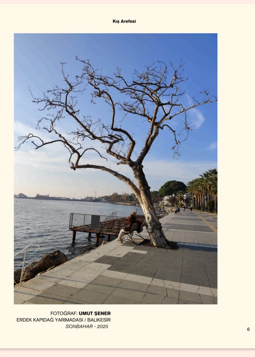 Umut Şener 📕🇵🇸☕ tweet media