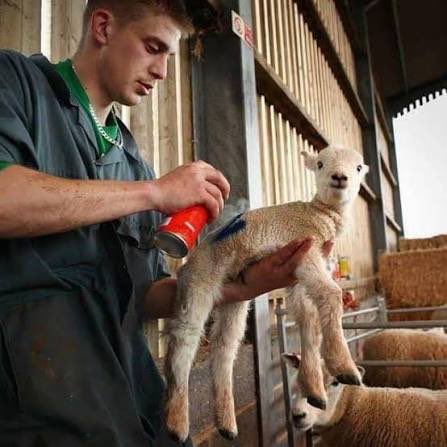 Pretty bad when you feel the need to dictate when others die