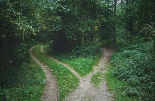 #ComentariosBíblicos Segundo Domingo de Adviento – Mt 3, 1-12 | Por: <a href="/furlotticarina/">Carina Furlotti</a>  amerindiaenlared.org/contenido/2756…