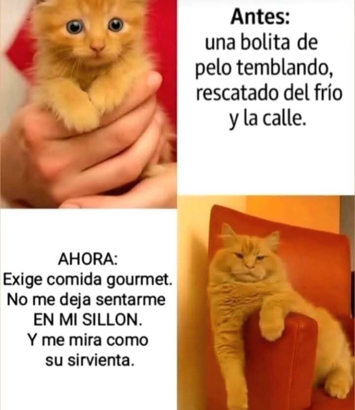 JustVíC (@biosferano) on Twitter photo 