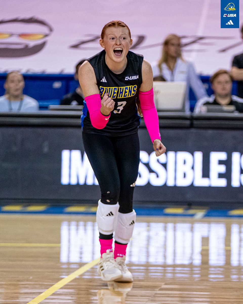 Delaware Volleyball tweet media