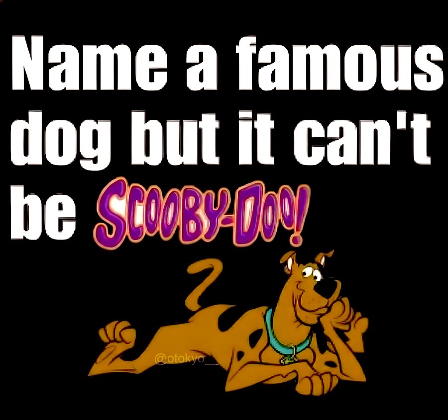 LadyValor tweet media