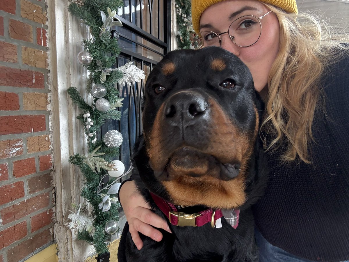 GRIFFONS Playground Kj 降谷建志 Rottweiler GRIFFONS Playground Kj