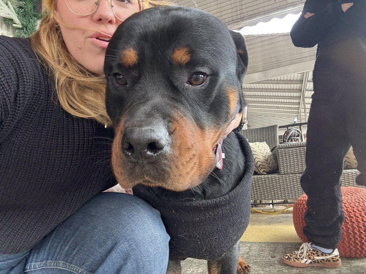 GRIFFONS Playground Kj 降谷建志 Rottweiler GRIFFONS Playground Kj