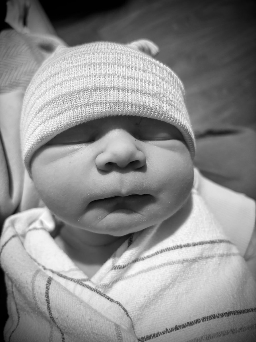 Taylor Price tweet media