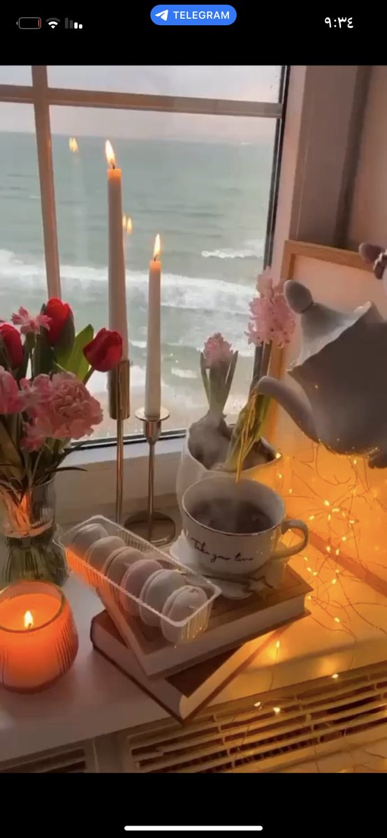 هماليل نجد 💚🇸🇦 tweet media