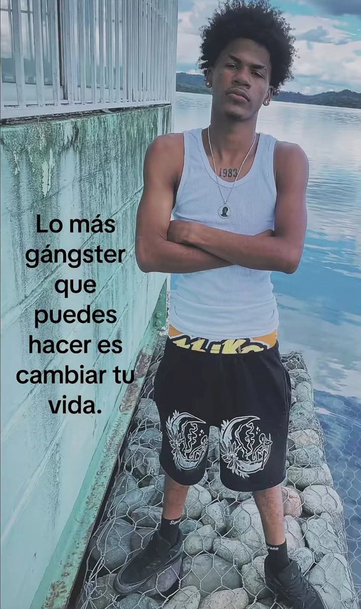 nxstypxet's tweet image. 