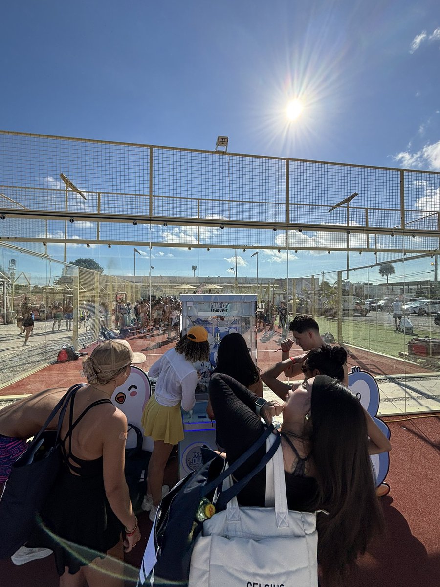 Berko 燕麦 Pengumaxxing tweet media