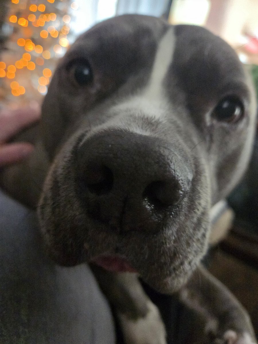 I love my Big Stuff.