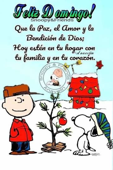 Te amo bello 😘 💕 💖 ♥  <a href="/EdySmol/">💭EDYSMOL</a> 🌺🌻💐⚘🌷🌼🌸