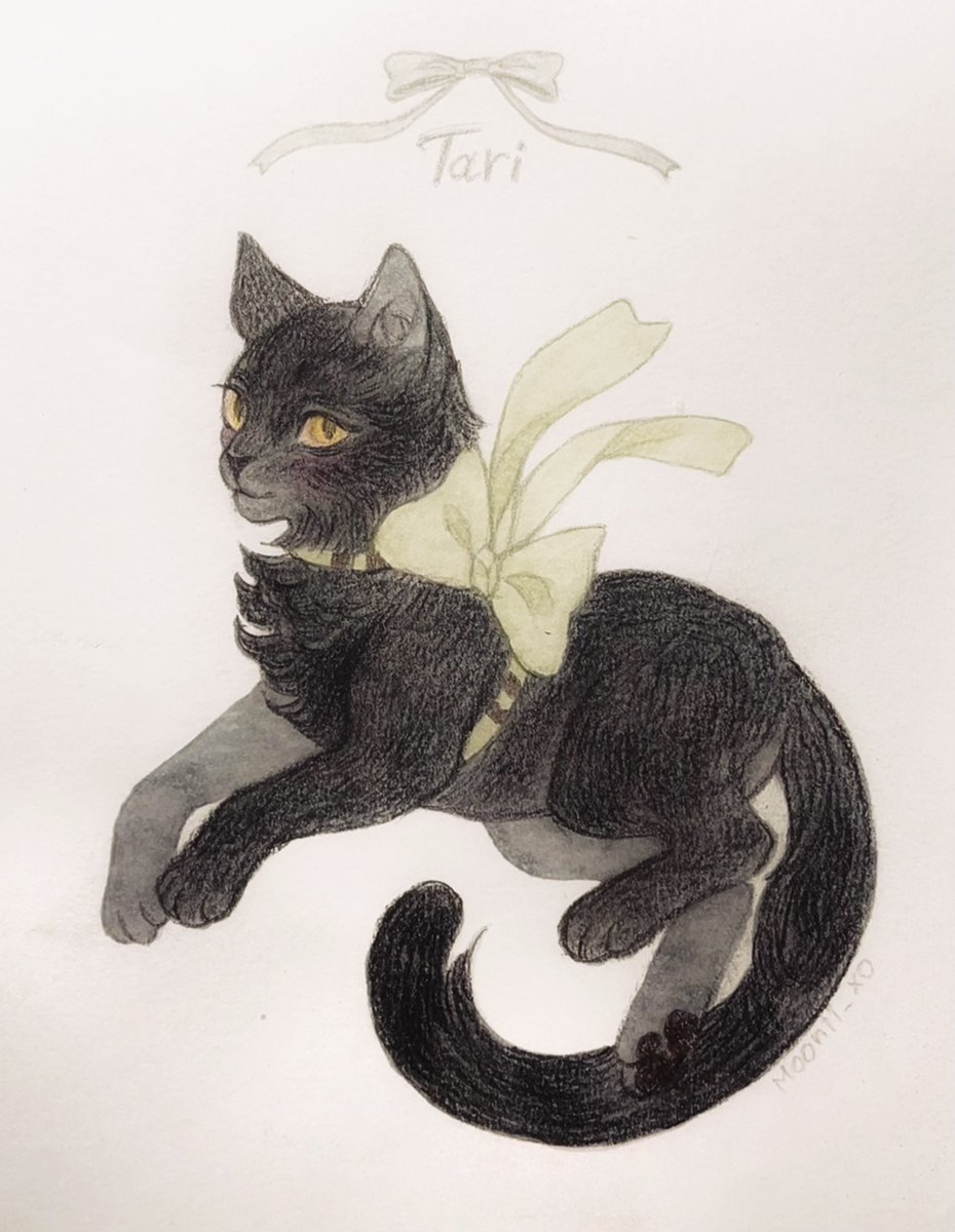 Moonii 💗 tweet media