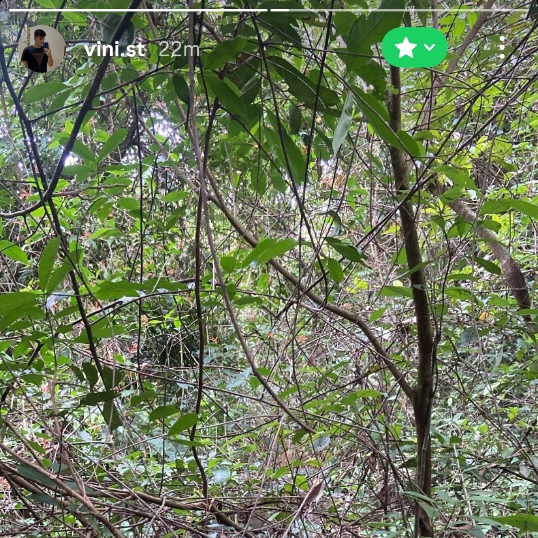 Uniaoooc's tweet photo. Quando o Internacional tá tão fudido que vc tem que se isolar da sociedade antes da rodada🥀🥀 https://t.co/DGwks7N194