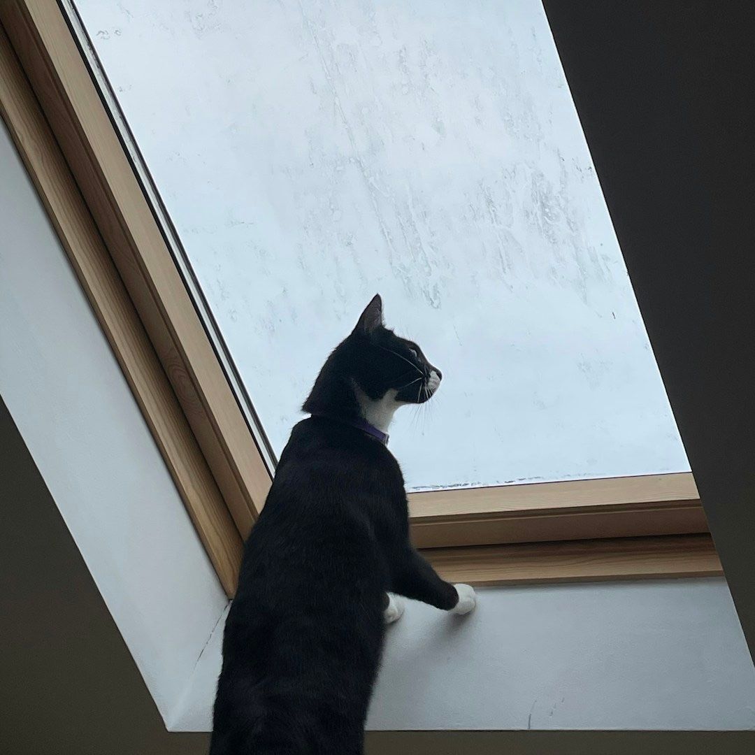 Blue Team Con tweet media