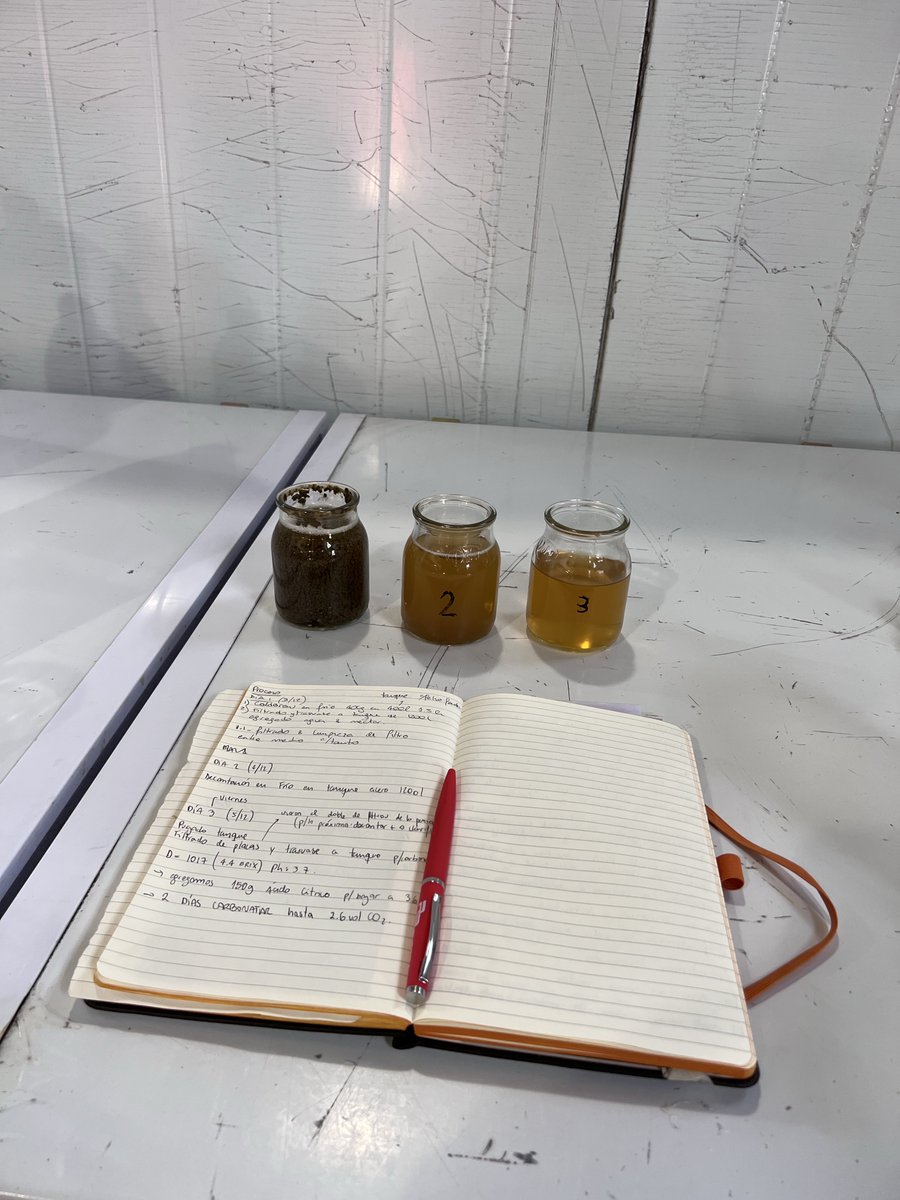 Nico Wolf tweet media