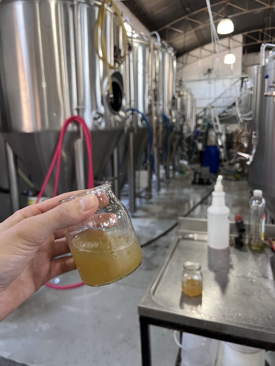 Nico Wolf tweet media