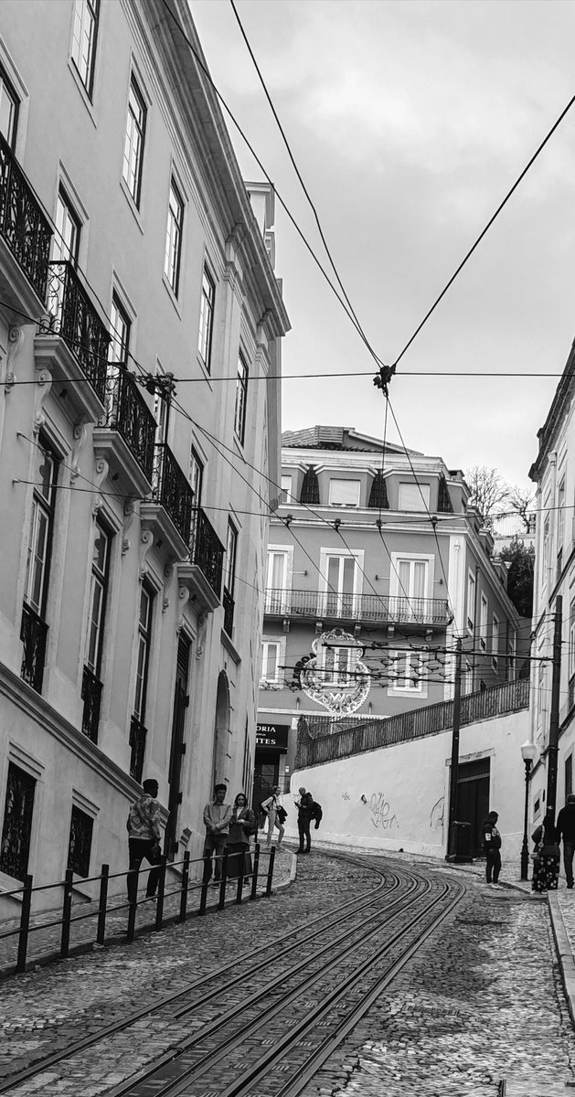 Kastanienzweig's tweet image. Since the serious accident at the "Elevador da Glória", only the tracks are visible.
#photography #Lisbon #tramlines #Portugal #travelphotography #streetphotography