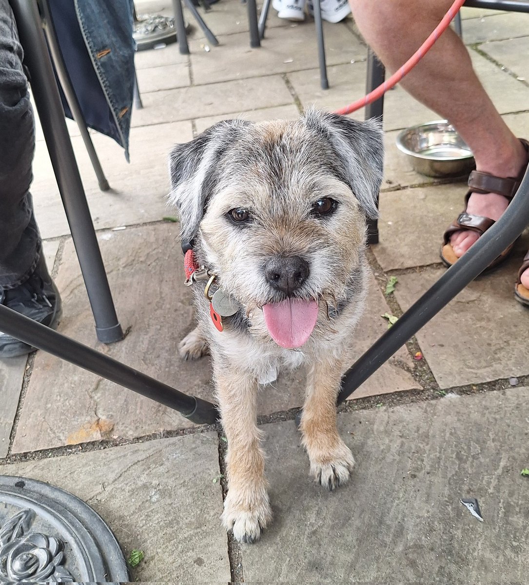Dee (Mum to Bosie🌈 & Sir Takoda🌈) tweet media