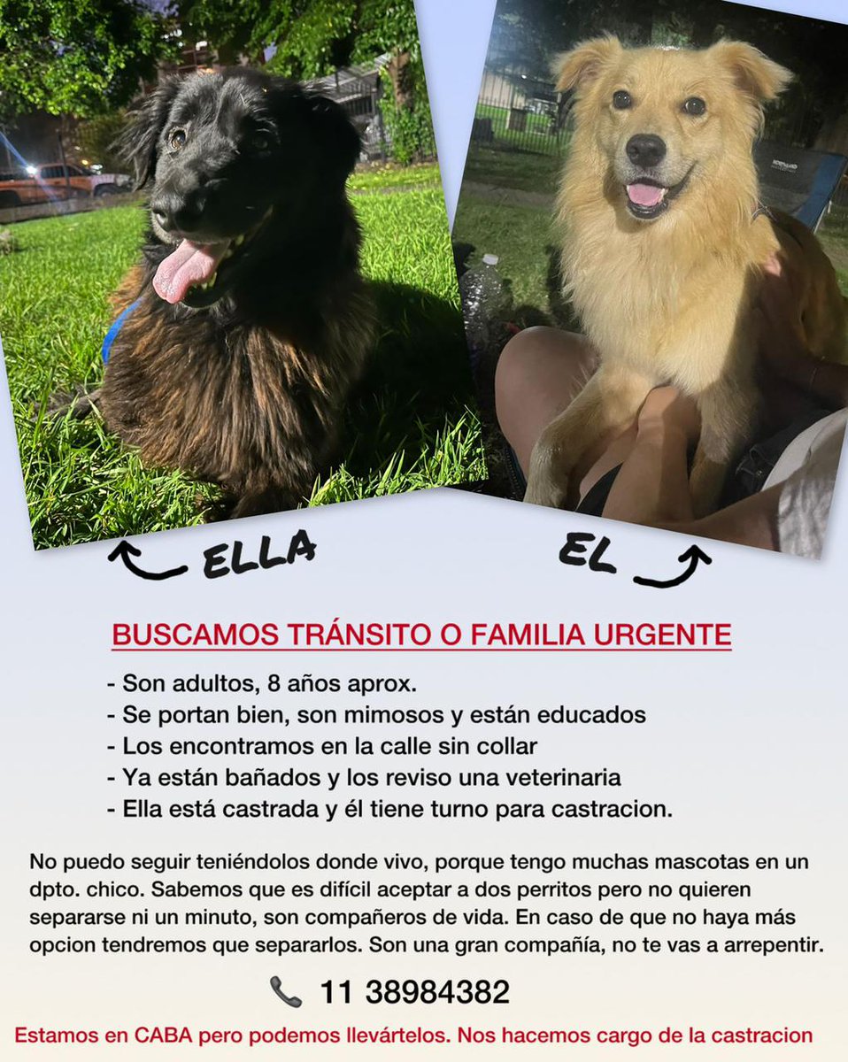 Pueden compartir, por favor? 
Gracias 😍