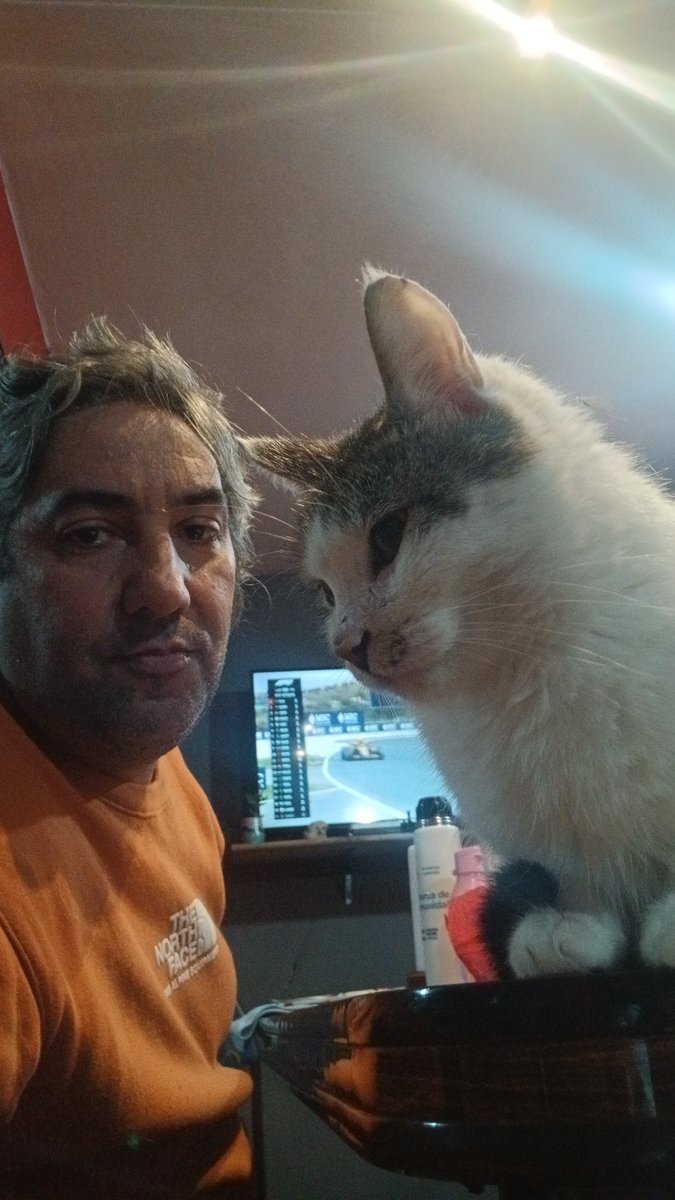 NGMProducciones's tweet photo. Siempre bancando a @FranColapinto  con mi Bossi, la IA le hizo un antiflama, miramos toda la #F1 #43 #vamosnene https://t.co/d3mN2vWJPS