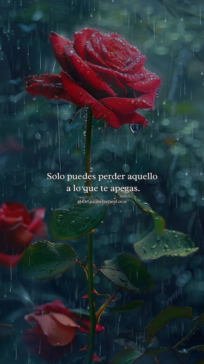 Andrea Mongarcita tweet media