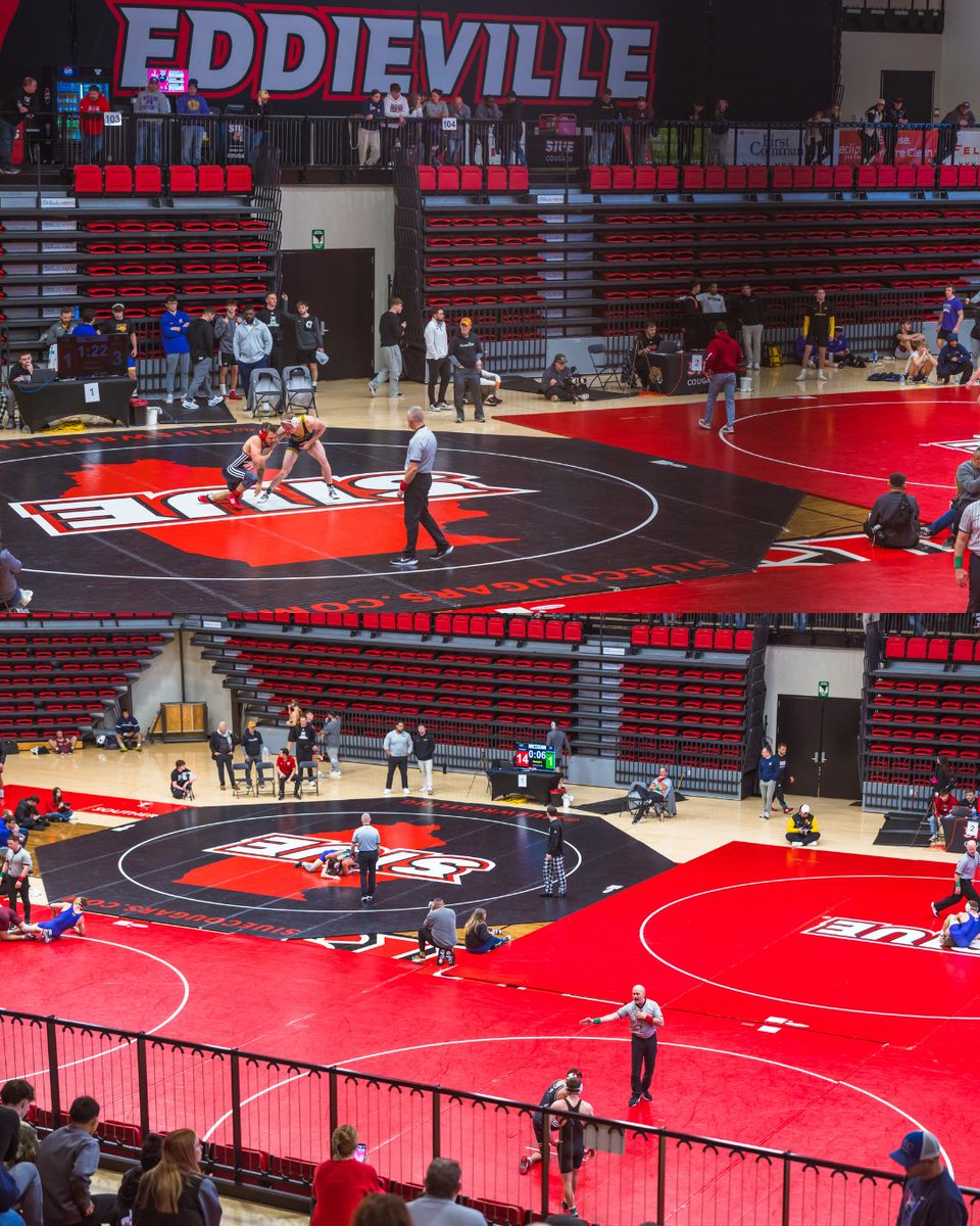 SIUE Wrestling tweet media