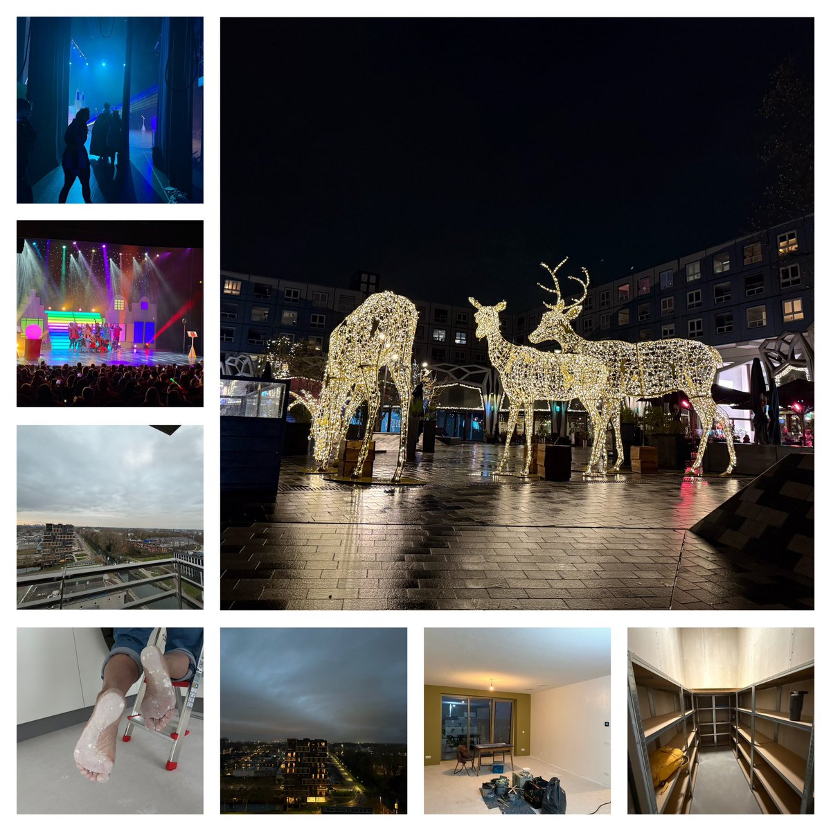 Edithmolmans's tweet image. #deweekisweerom