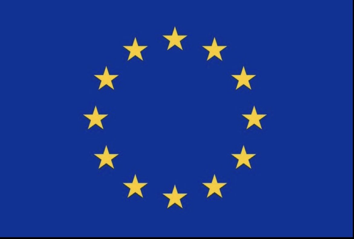 RenewEuropeFRA's tweet image. Notre drapeau, celui de la démocratie, du respect des libertés et de l’état de Droit.

@ValerieHayer @benjaminhaddad