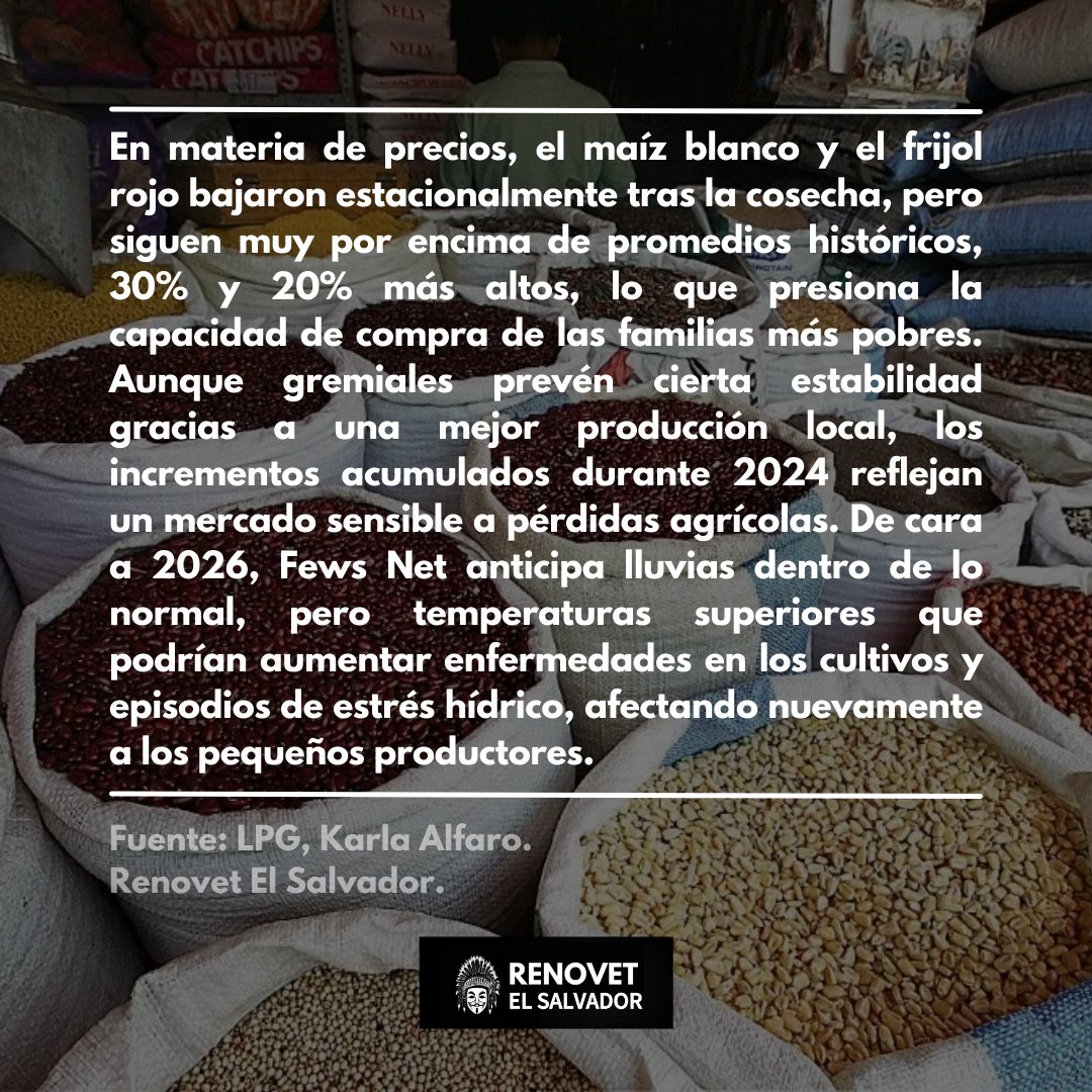 RenovetSv's tweet photo. #Actualidad | Un estudio de Fews Net advierte que muchos hogares pobres de El Salvador  podrían reducir comidas y  recurrir a ahorros ante el agotamiento de sus reservas agrícolas y baja de empleos rurales.

#AgriculturaSv #FewsNet #CrisisAlimentaria #CambioClimático #RenovetSv https://t.co/Ncjayf0TBM