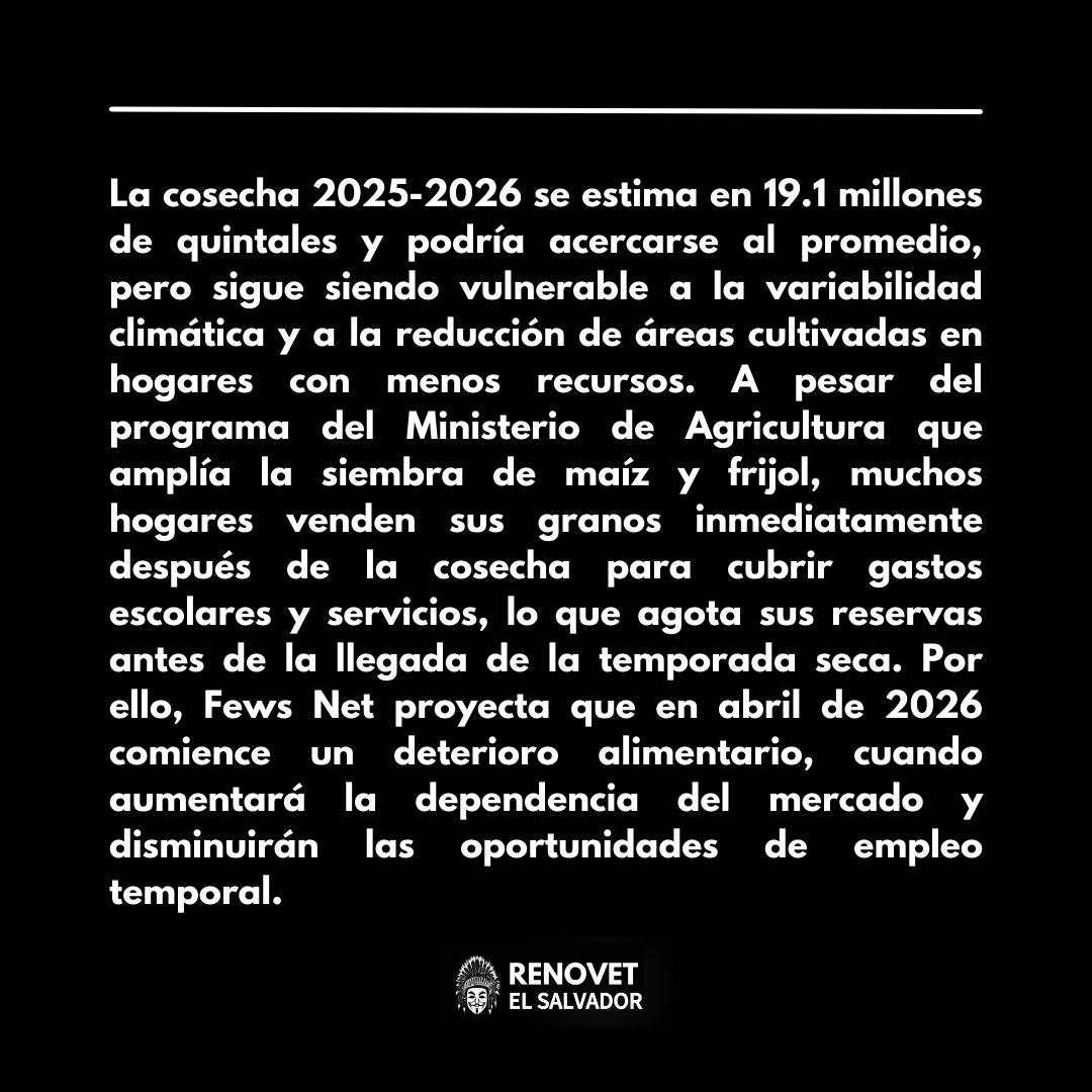 RenovetSv's tweet photo. #Actualidad | Un estudio de Fews Net advierte que muchos hogares pobres de El Salvador  podrían reducir comidas y  recurrir a ahorros ante el agotamiento de sus reservas agrícolas y baja de empleos rurales.

#AgriculturaSv #FewsNet #CrisisAlimentaria #CambioClimático #RenovetSv https://t.co/Ncjayf0TBM