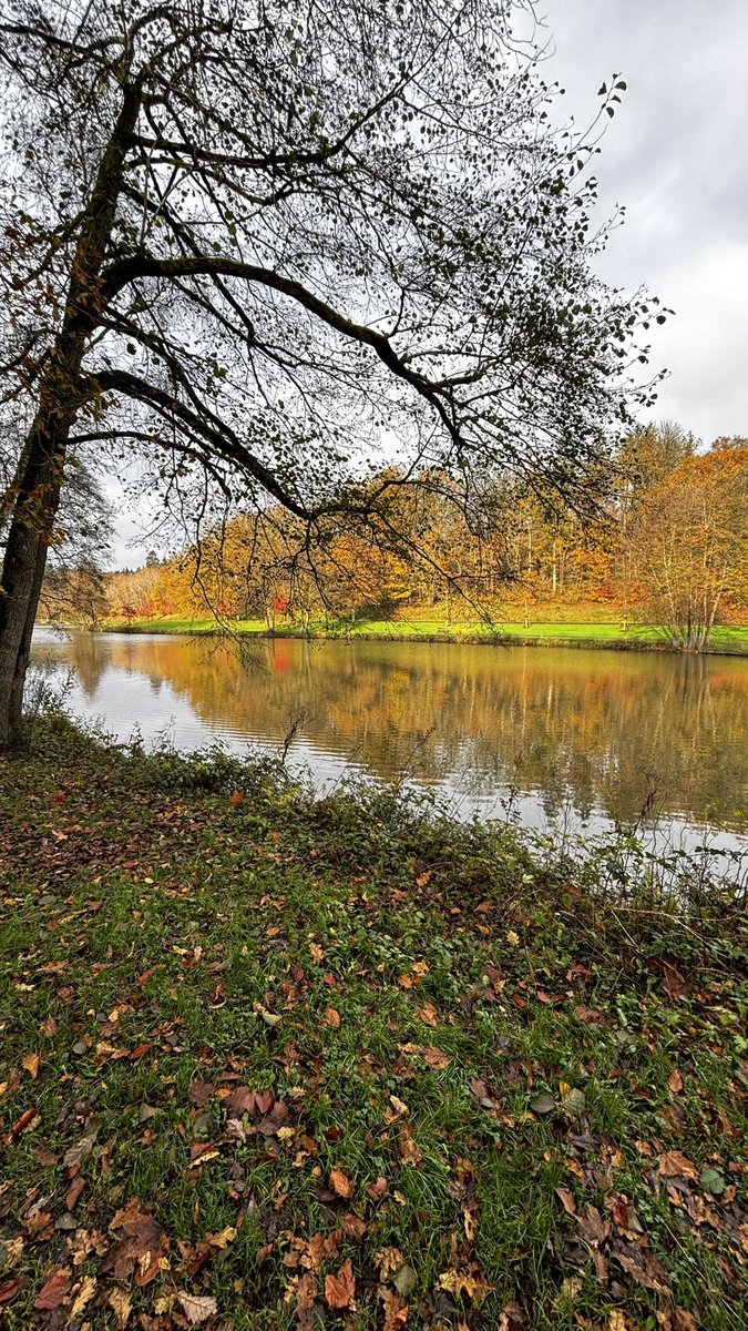 azdm_30's tweet image. Masterclass ✅✅