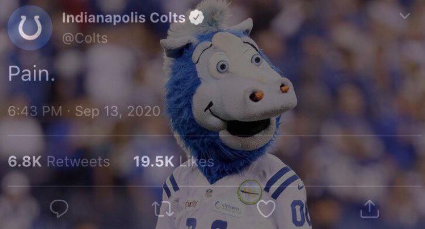 panchito192's tweet photo. #Colts #ForTheShoe    this never gets old and its a good time to use it https://t.co/YgoemQ604m